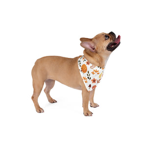 Fall Pup Bandana