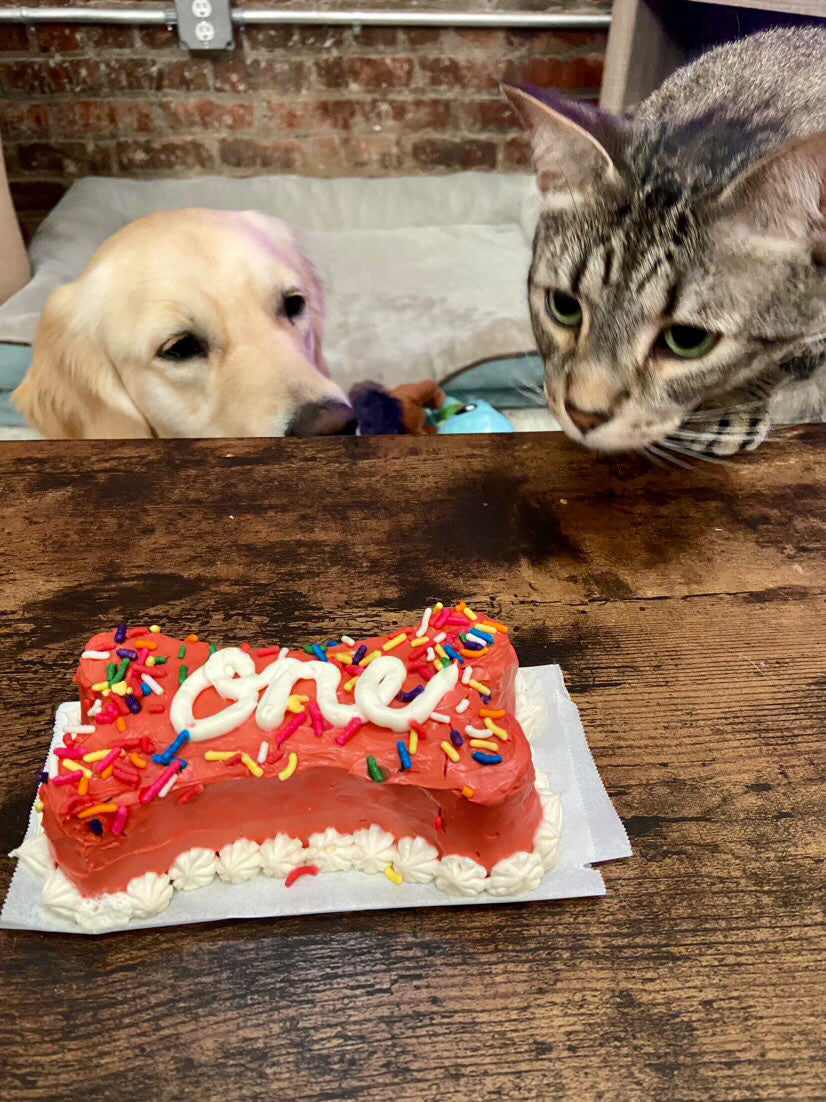 Pup Cake Recipe 🎂